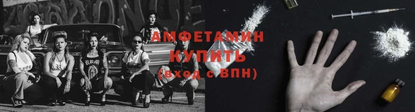a pvp Аркадак