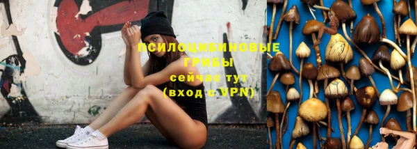 mdpv Арсеньев