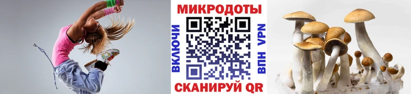 Псилоцибиновые грибы мухоморы  мега ссылки  Лаишево 
